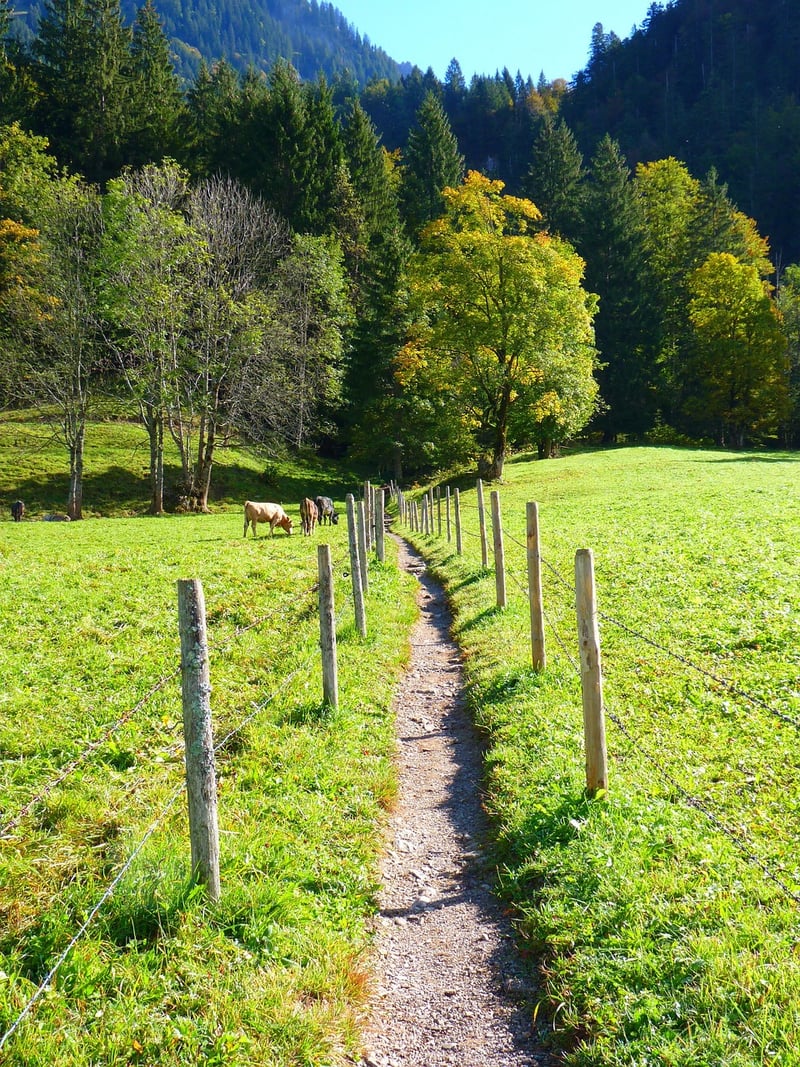 Off-The-Beaten Path